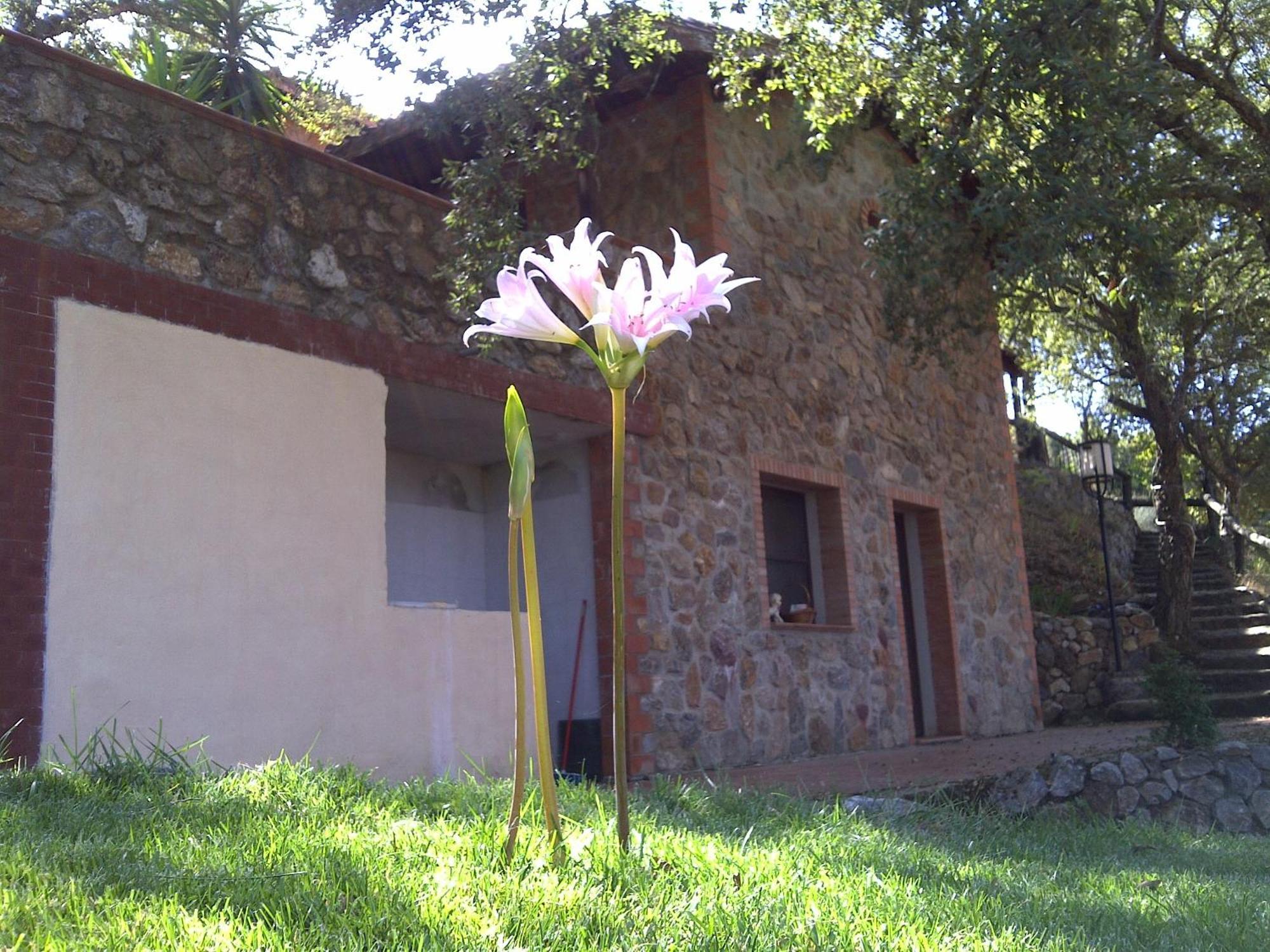 La Quercia Casa de hóspedes Arbus Exterior foto
