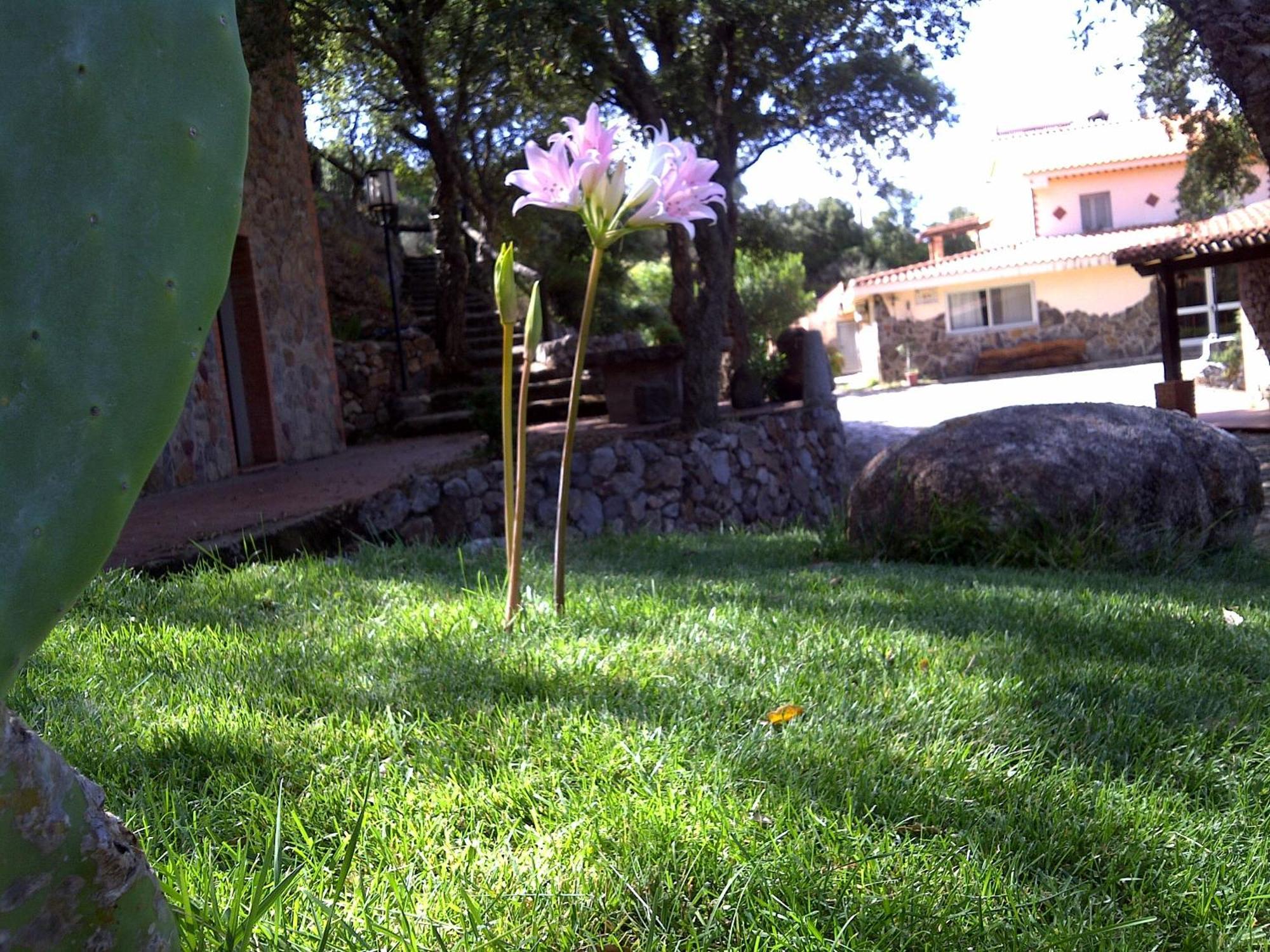 La Quercia Casa de hóspedes Arbus Exterior foto